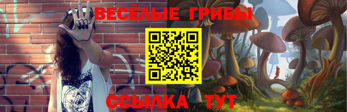 Галлюциногенные грибы MAGIC MUSHROOMS  Вход с VPN  Людиново  Псилоцибиновые грибы Cubensis 