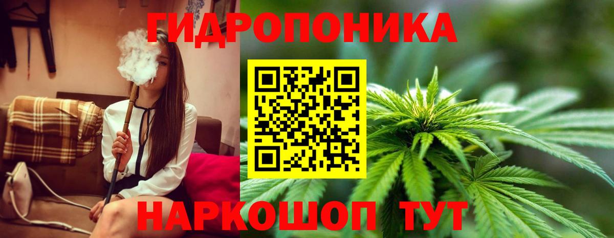 Людиново  Конопля сатива  Бошки Шишки гибрид  МАРИХУАНА SATIVA & INDICA  Вход с VPN 